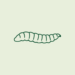 Using the power of BSF Larvae